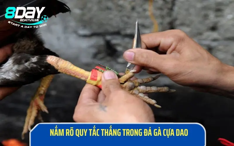 Nắm rõ quy định về điều kiện trận đấu để tham gia cược tiền hiệu quả nhất