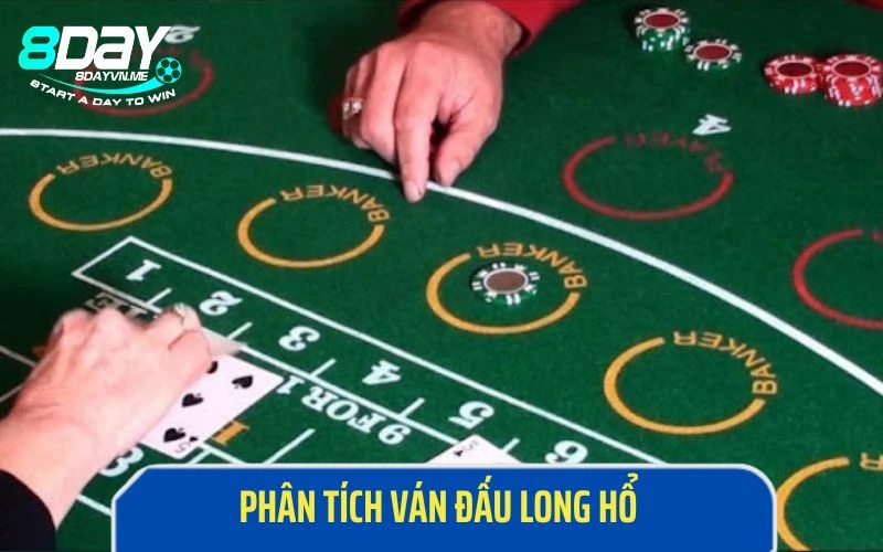 Kinh nghiệm chơi Long Hổ Baccarat - Học cách phân tích ván đấu